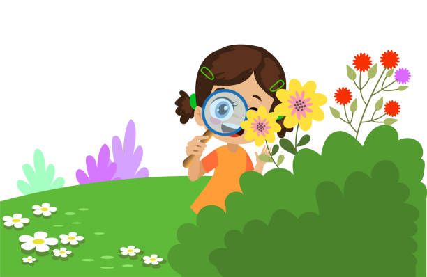 istockphoto 1443023459 612x612